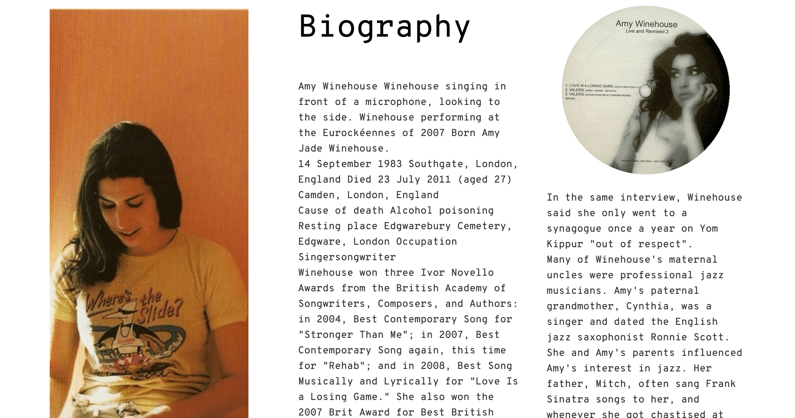 artist-biography-website